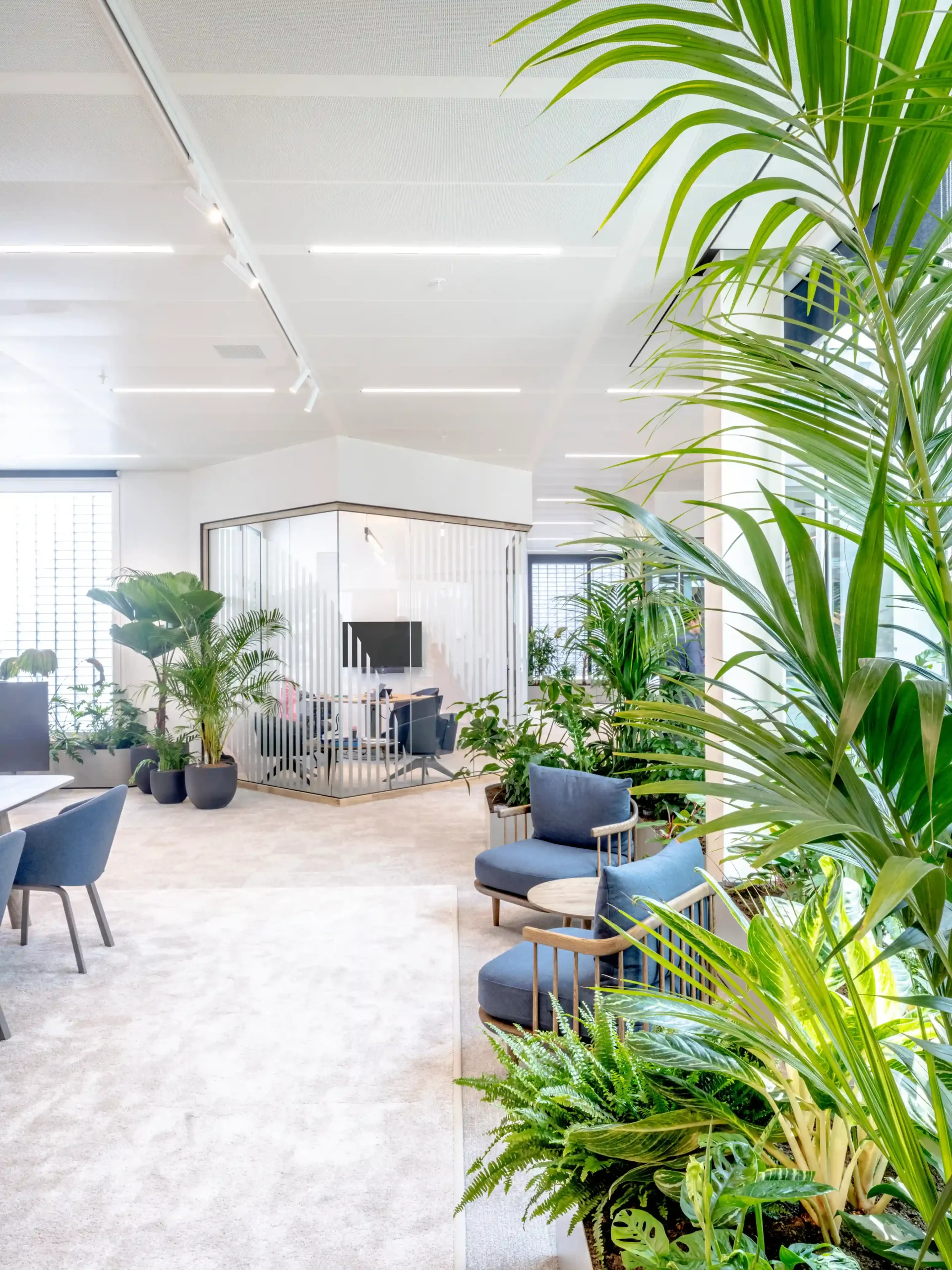 athora - 23-05-22-10-51-04_11zon_11zon